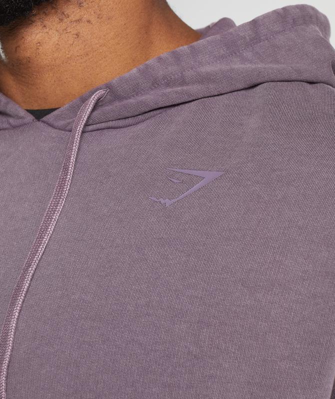 Gymshark Power Washed Hoodie Hoodies Musk Lilac | 56LZEWFPX