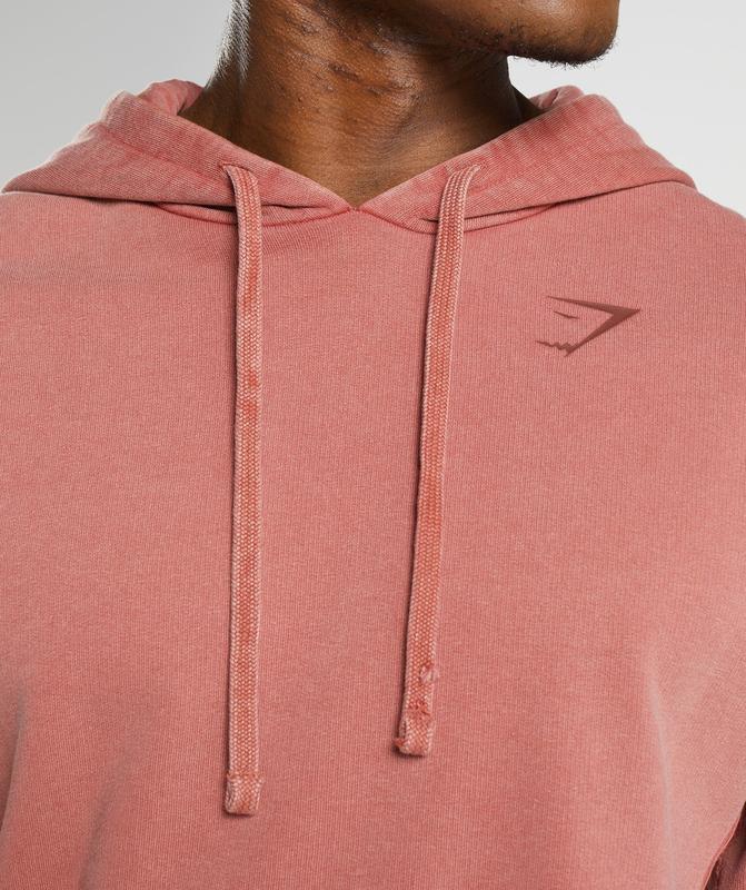 Gymshark Power Washed Hoodie Hoodies Roze Bruin | 64YPQIADN