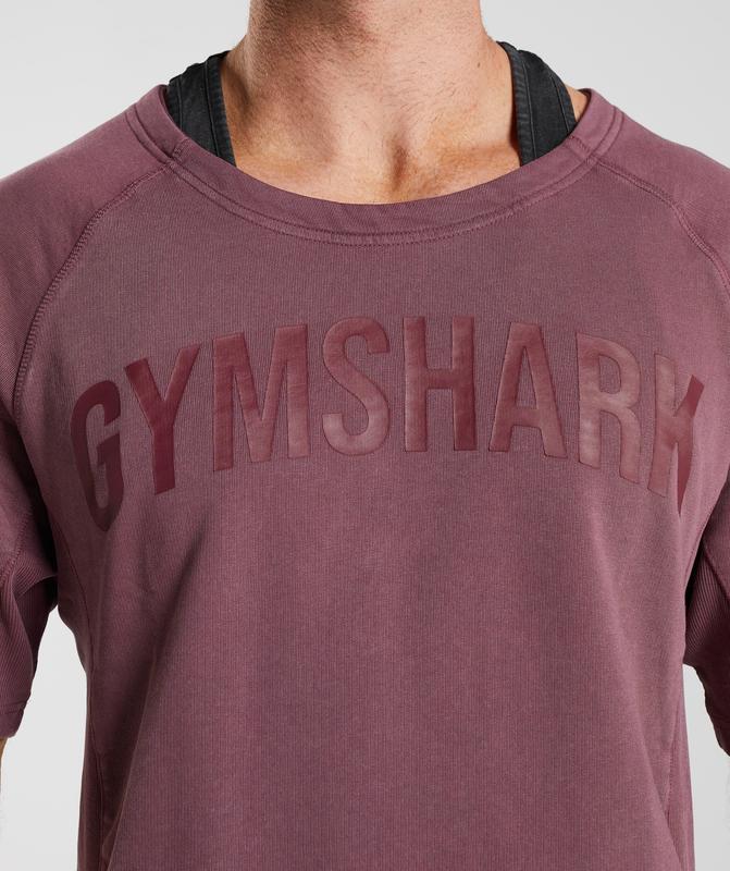 Gymshark Power Washed Rag Top T-Shirts Bruin | 30WKYSBZI