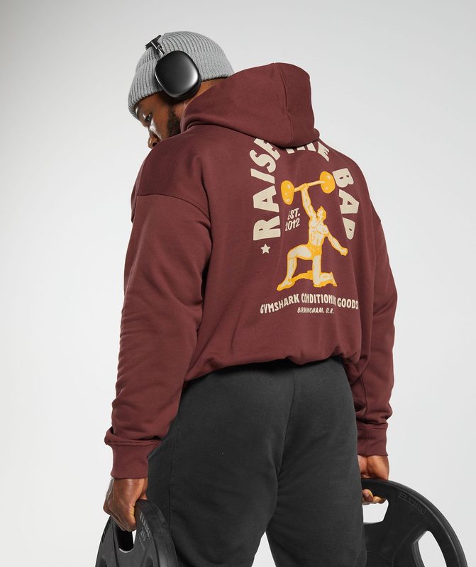 Gymshark Raise the Bar Hoodie Hoodies Bordeaux Bruin | 51SMPIQLF