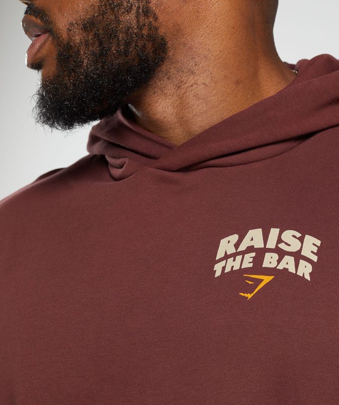 Gymshark Raise the Bar Hoodie Hoodies Bordeaux Bruin | 51SMPIQLF