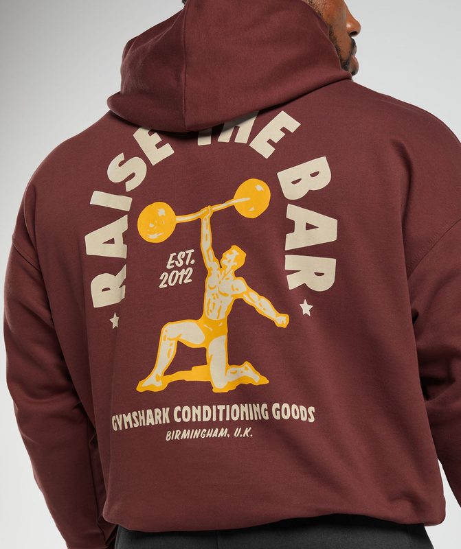 Gymshark Raise the Bar Hoodie Hoodies Bordeaux Bruin | 51SMPIQLF