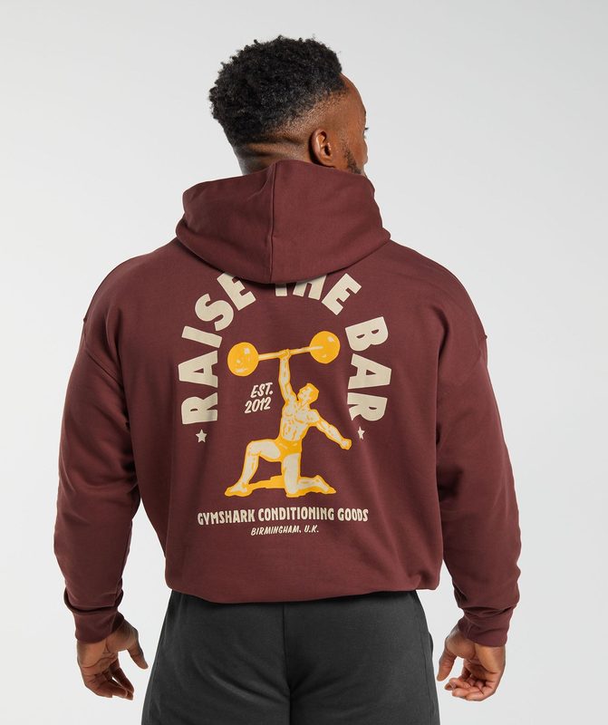 Gymshark Raise the Bar Hoodie Hoodies Bordeaux Bruin | 51SMPIQLF