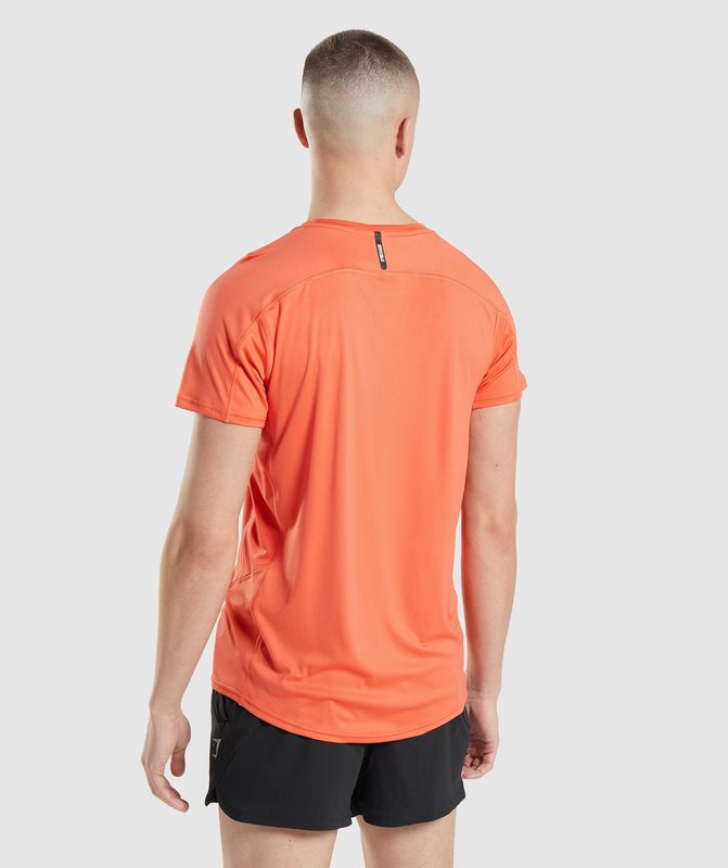 Gymshark Speed Evolve T-Shirt T-Shirts Oranje | 43QUVPOJW