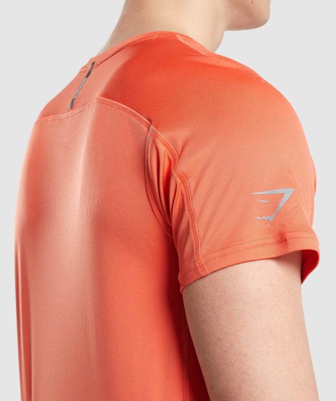 Gymshark Speed Evolve T-Shirt T-Shirts Oranje | 43QUVPOJW