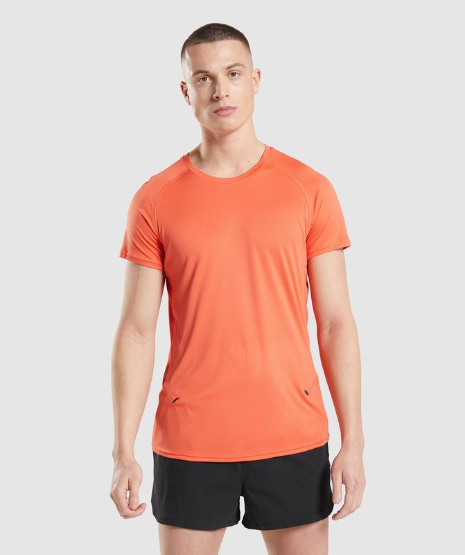 Gymshark Speed Evolve T-Shirt T-Shirts Oranje | 43QUVPOJW