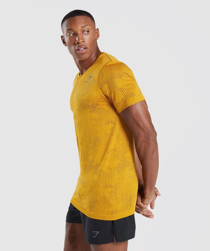 Gymshark Sport Seamless T-Shirt T-Shirts Turmeric Yellow/Black | 90QKFYLIC