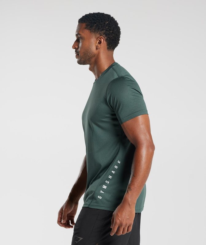 Gymshark Sport T-Shirt T-Shirts Fog Green/Black Marl | 69LJIWTHG