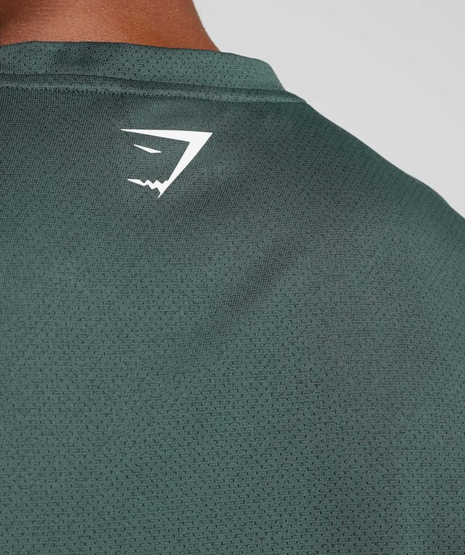 Gymshark Sport T-Shirt T-Shirts Fog Green/Black Marl | 69LJIWTHG