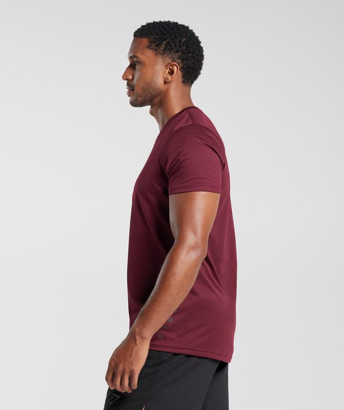 Gymshark Sport T-Shirt T-Shirts Plum Pink/Black Marl | 83RUDKNWB