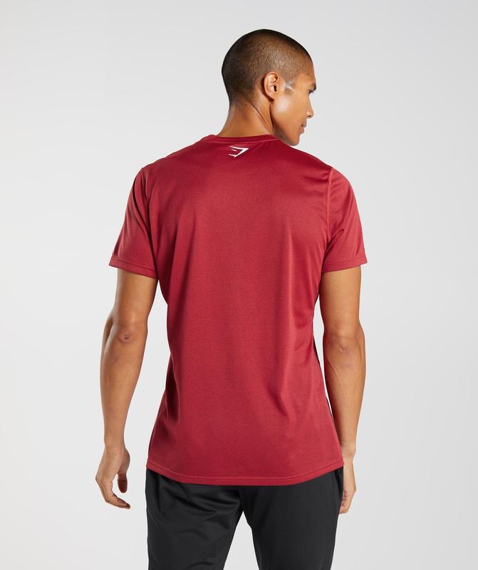 Gymshark Sport T-Shirt T-Shirts Salsa Red/Black Marl | 75BDKTHSV