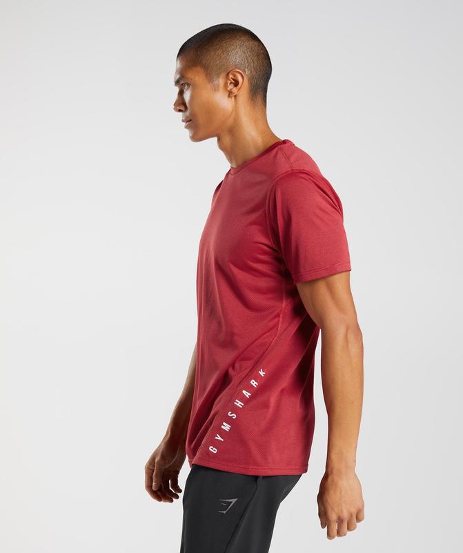 Gymshark Sport T-Shirt T-Shirts Salsa Red/Black Marl | 75BDKTHSV