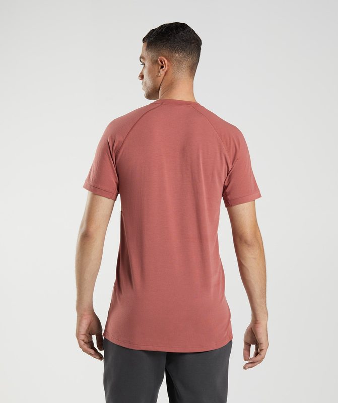 Gymshark Studio T-Shirt T-Shirts Roze Bruin | 52WZVHXPE