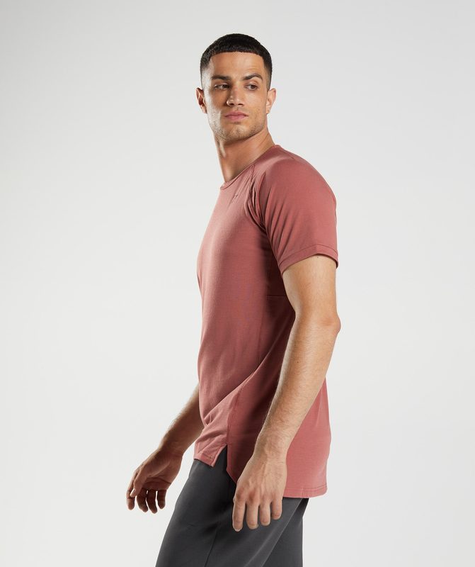 Gymshark Studio T-Shirt T-Shirts Roze Bruin | 52WZVHXPE