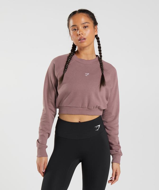 Gymshark Training Cropped Sweater Pullovers Bordeaux | 52PJAGNKR