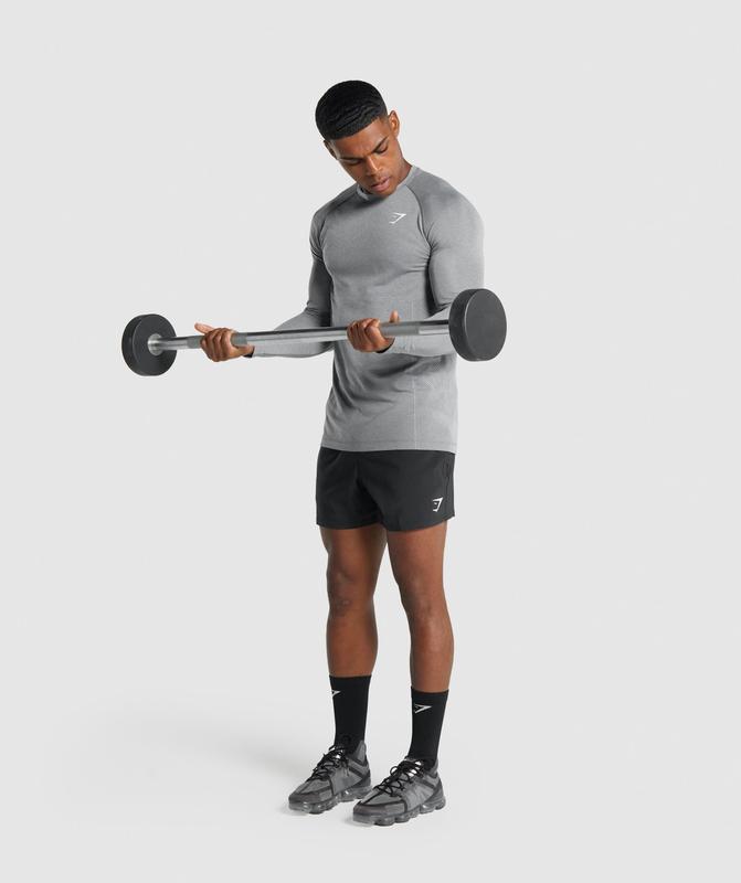 Gymshark Vital Light Seamless Long Sleeve T-Shirt Long Sleeve Top Charcoal Marl | 24UKTHYJE