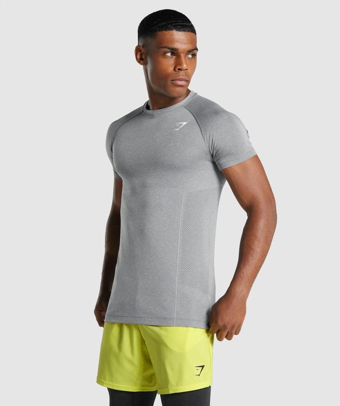 Gymshark Vital Light Seamless T-Shirt T-Shirts Charcoal Marl | 41XCTPWNO