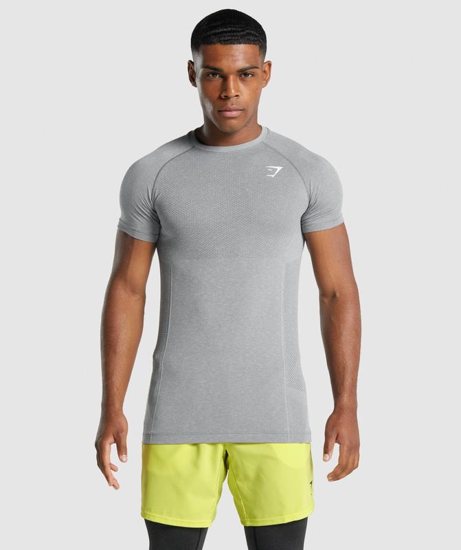 Gymshark Vital Light Seamless T-Shirt T-Shirts Charcoal Marl | 41XCTPWNO