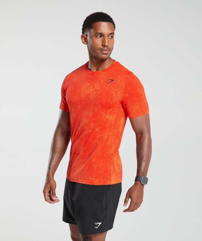 Gymshark Washed Seamless T-Shirt T-Shirts Oranje | 17JCKBOPW