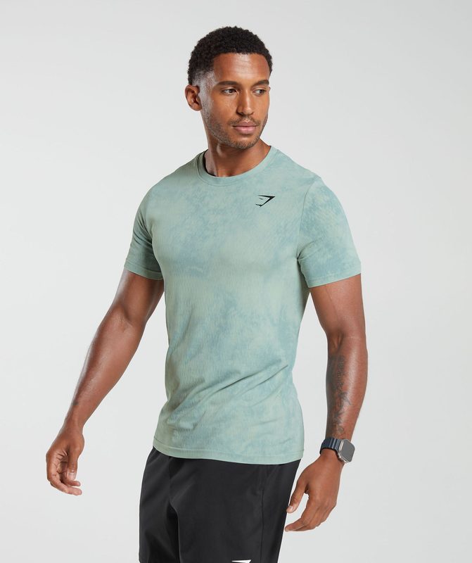 Gymshark Washed Seamless T-Shirt T-Shirts Blauw | 27NTZGROK